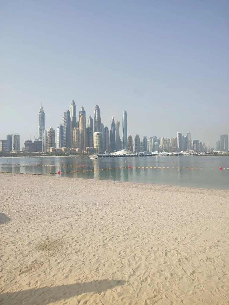 Фото отеля Hilton Dubai Palm Jumeirah