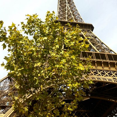 Турфирма фото Тур в Париж, Франция foto