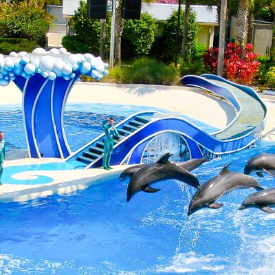 Турфирма фото США, Орландо, парк Си Ворлд (Морской мир Орландо) "SeaWorld Orlando" foto