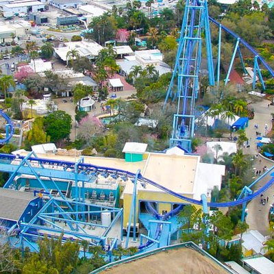 Турфирма фото США, Орландо, парк Си Ворлд (Морской мир Орландо) "SeaWorld Orlando" foto