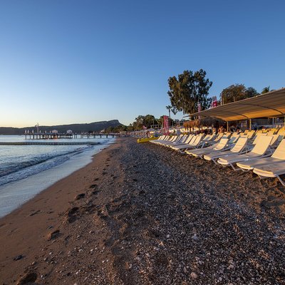 Турфирма фото Фото отеля Armas Gul Beach foto