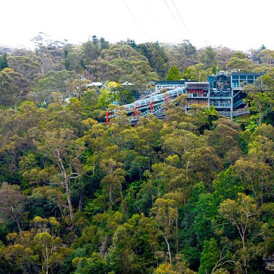 Турфирма фото Австралия, Национальный парк «Голубые горы» 2014 (Blue Mountains National Park) foto